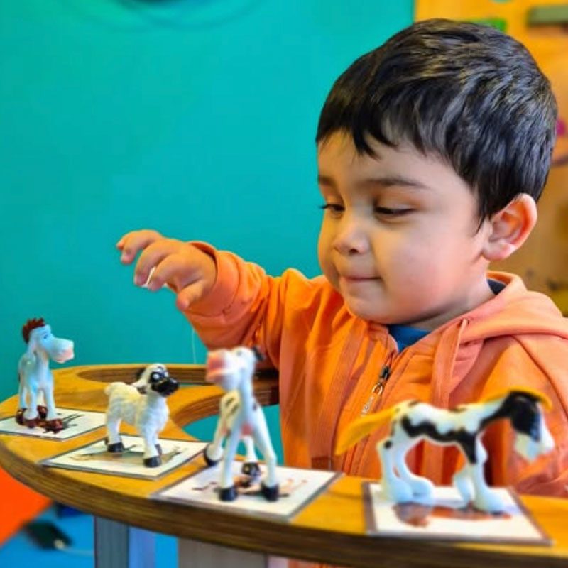 lasvioletas_0000_violeta